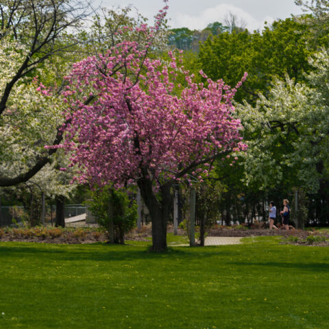 IVN_0796